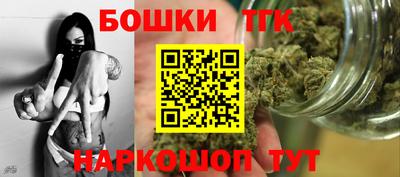 спайс Кингисепп