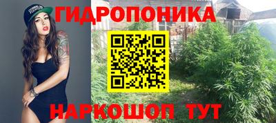 твердый Кинель