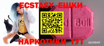 спайс Кингисепп