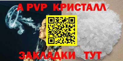 спайс Кингисепп