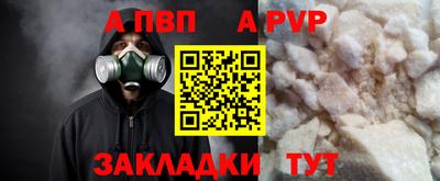 спайс Кингисепп